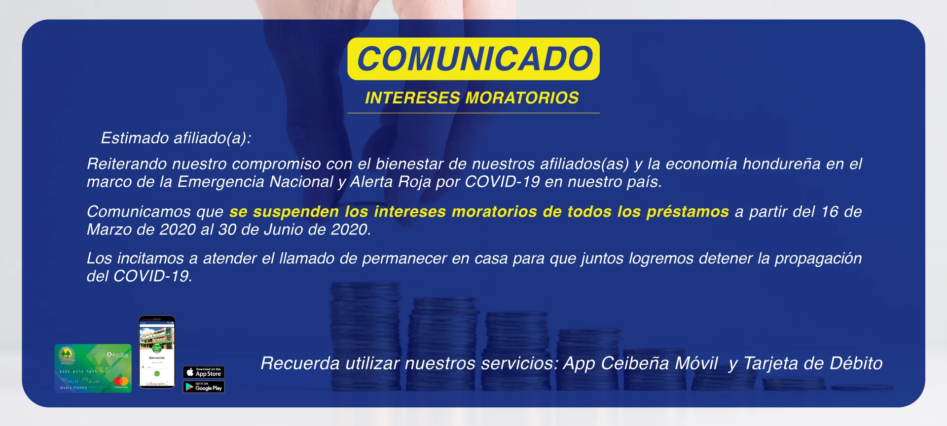 Imagen secundaria 1